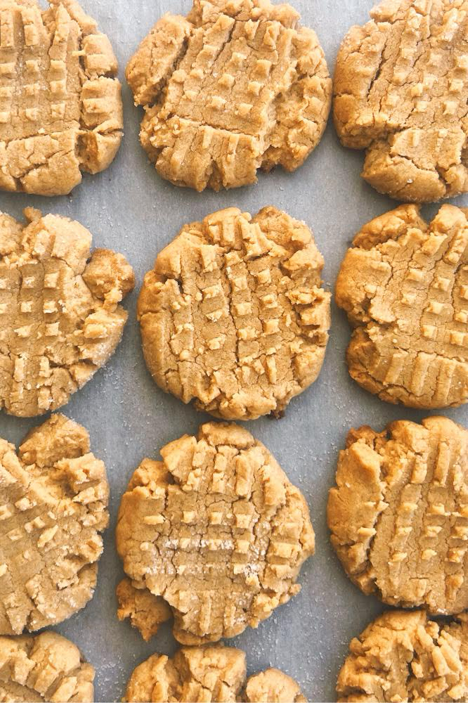 Vegan Peanut Butter Cookies Lined Up