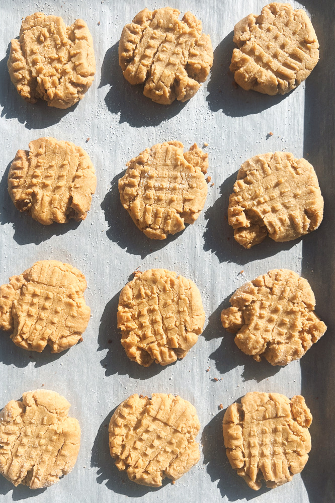 Vegan Peanut Butter Cookies Group