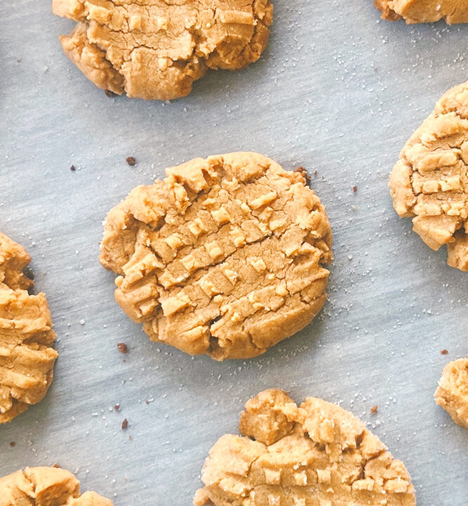 Vegan Peanut Butter Cookies