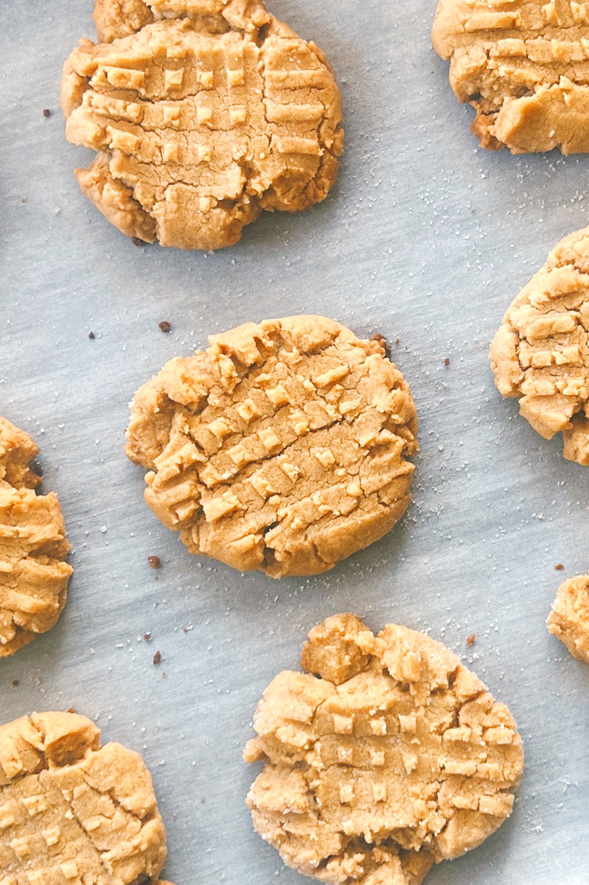 Vegan Peanut Butter Cookies