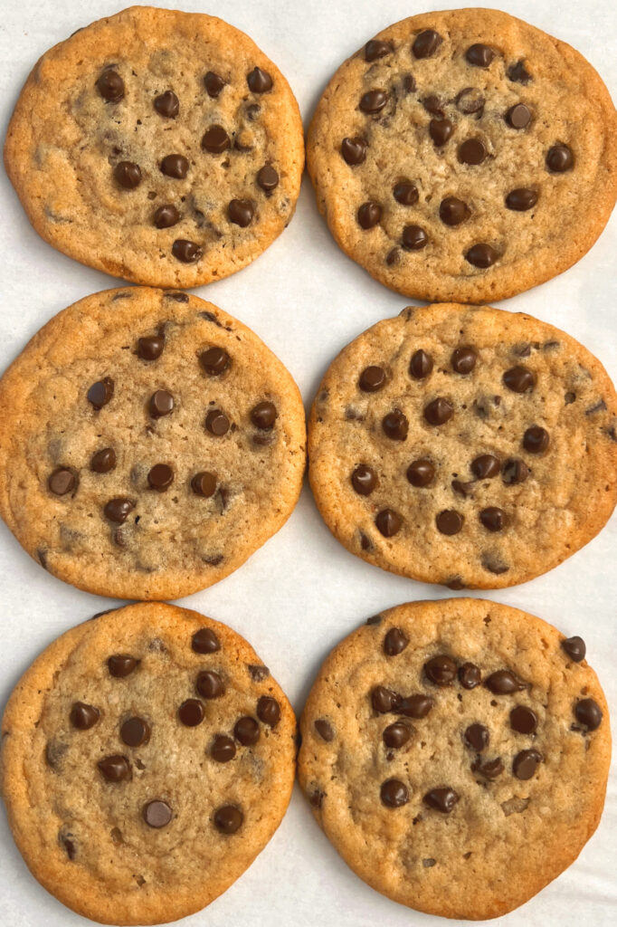 Vegan Chocolate Chip Cookies Lined Up