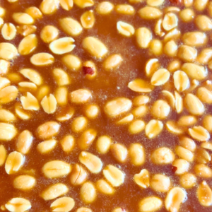 Vegan Peanut Brittle