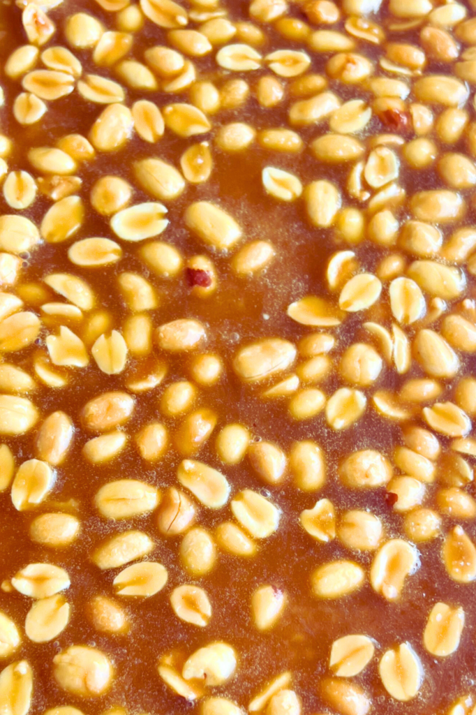 Vegan Peanut Brittle