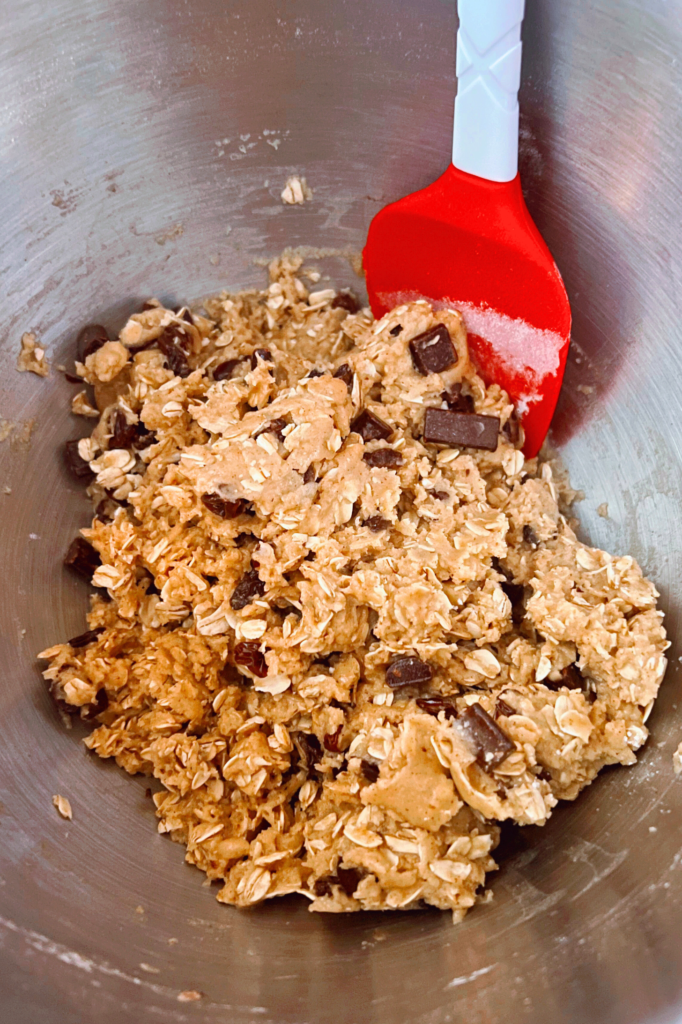 Vegan Oatmeal Raisin Chocolate Chunk Cookies Mix