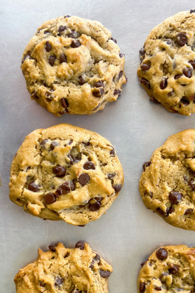 Vegan Chocolate Chip Tahini Cookies